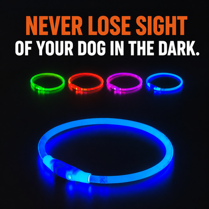 Waglines Light up Dog Collar,  USB Rechargeable for Small Medium Large Dogs